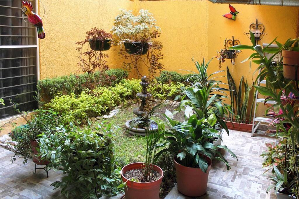 Colorida Casa Azul En Texcoco Centro Wifi Cocina Βίλα Texcoco de Mora Εξωτερικό φωτογραφία